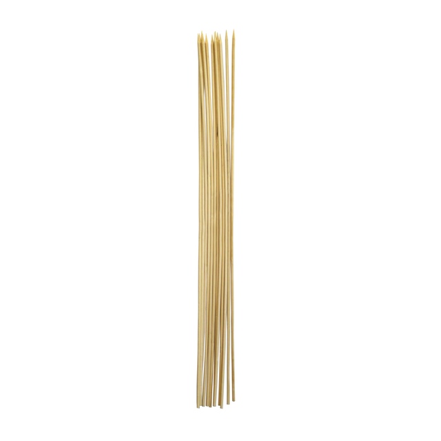 Coghlan's Roasting Sticks Front_Flat