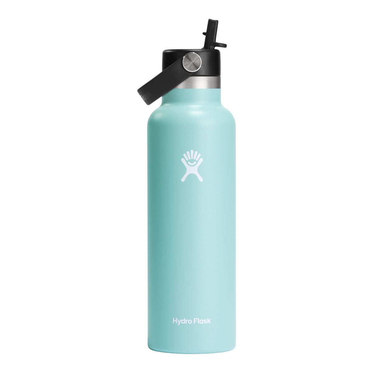 Hydro Flask Standard Mouth 21 oz Bottle with Flex Straw Cap
