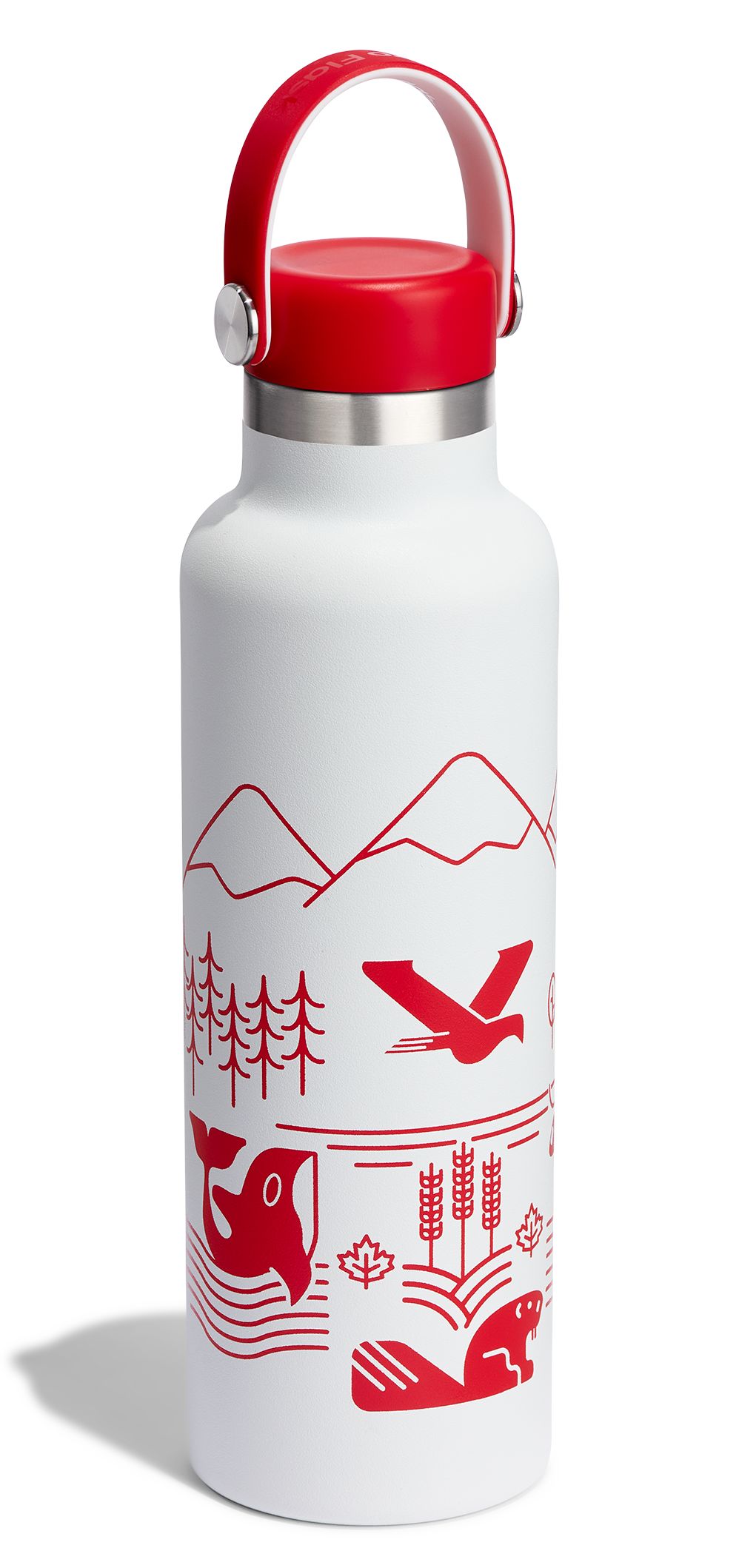 Hydro Flask 21 oz Standard Mouth Stainless Steel Water Bottle