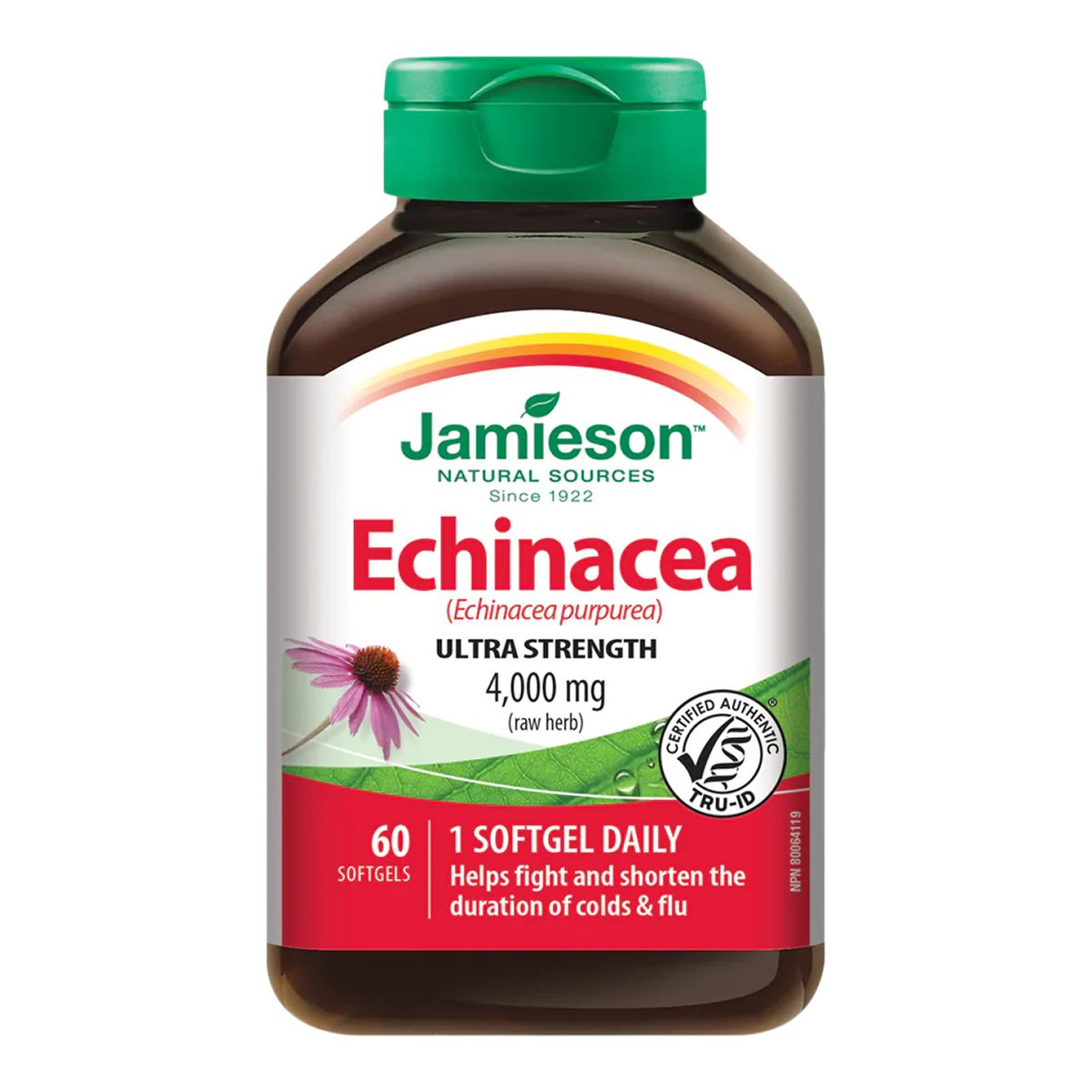 Jamieson Max Potency Echinacea - 60 Softgels