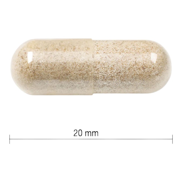 Jamieson Gentle Iron 28mg 90 Capsules SportChek