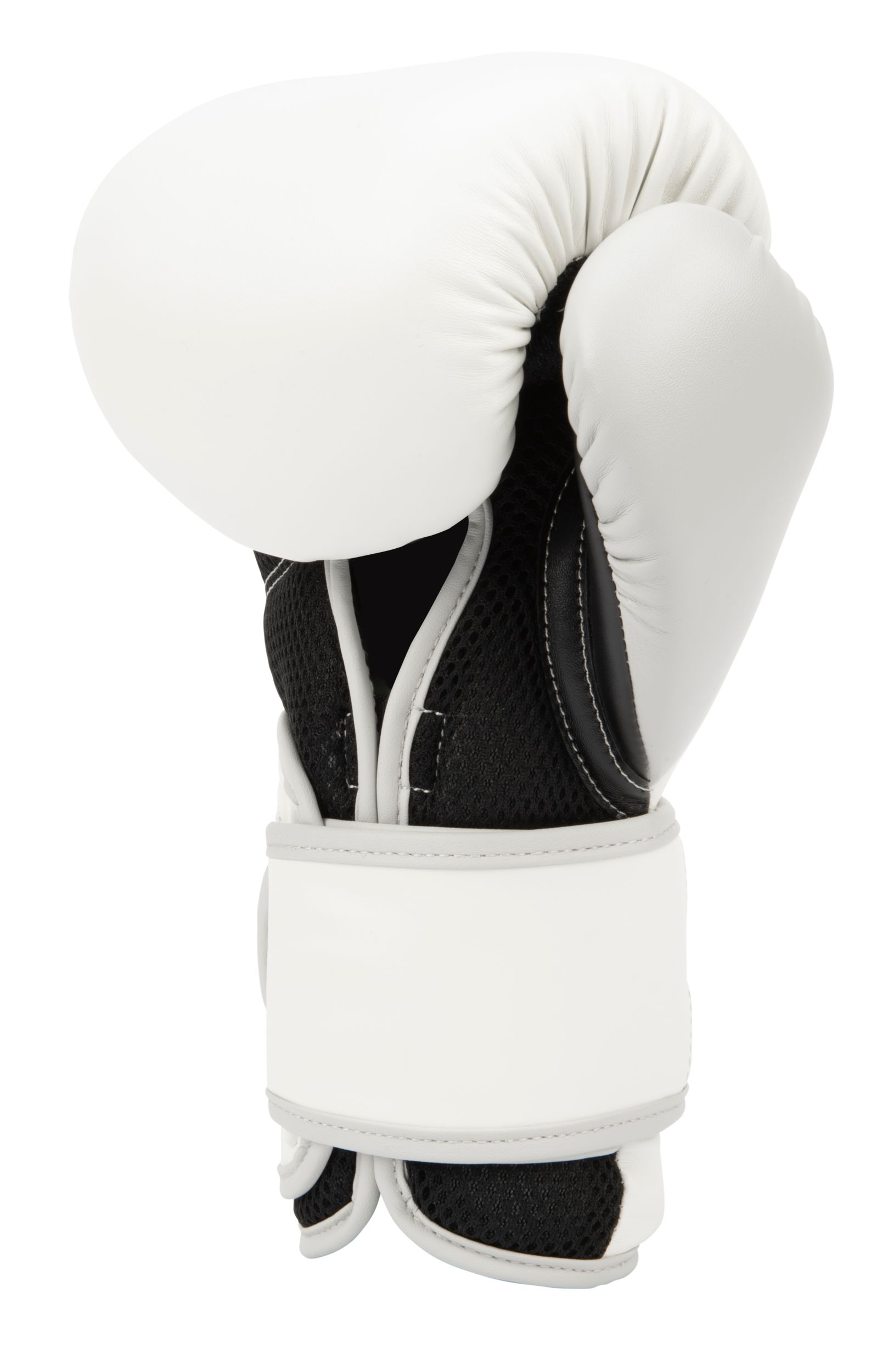 Everlast Powerlock 2 Boxing Gloves