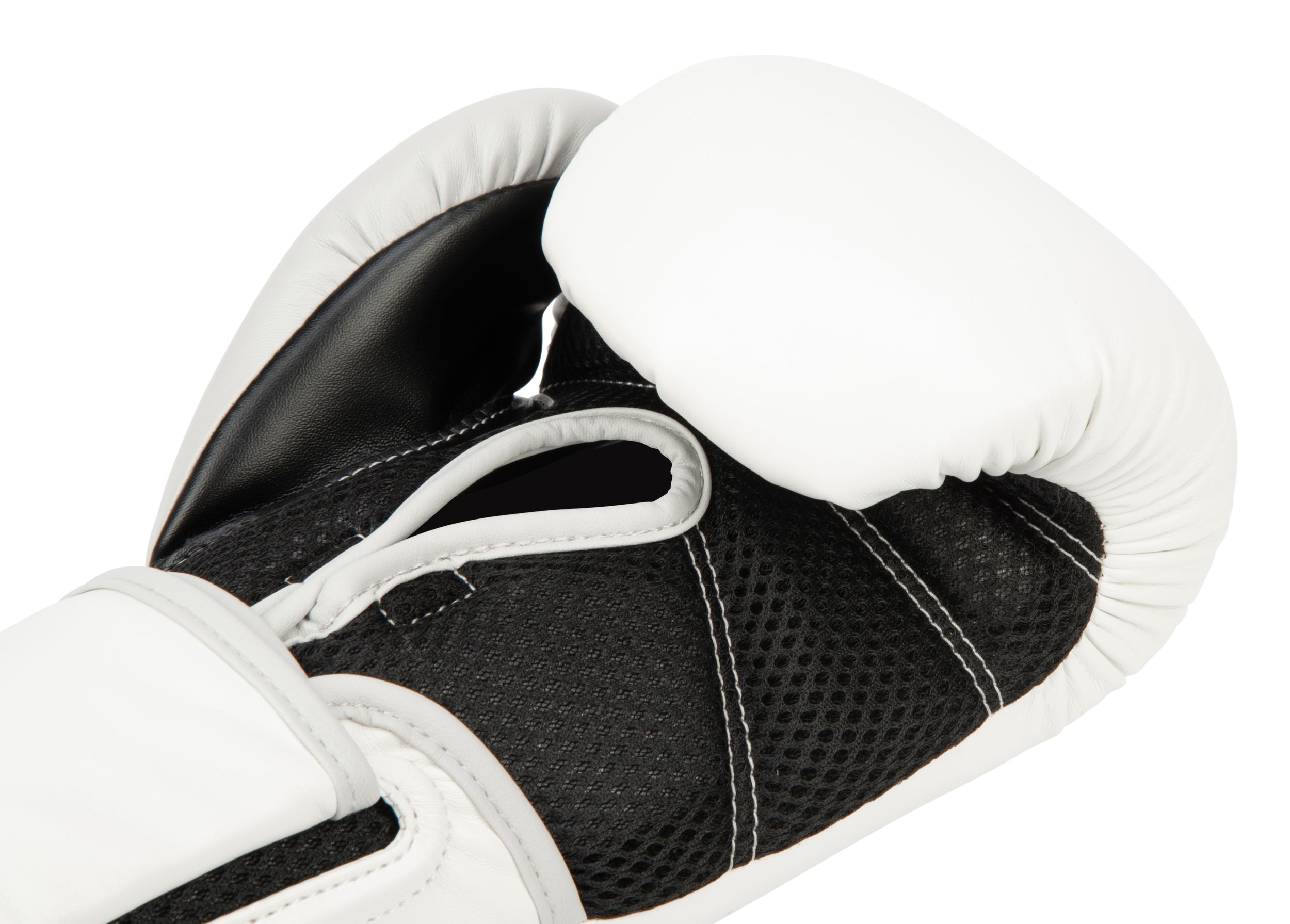 Everlast Powerlock 2 Boxing Gloves