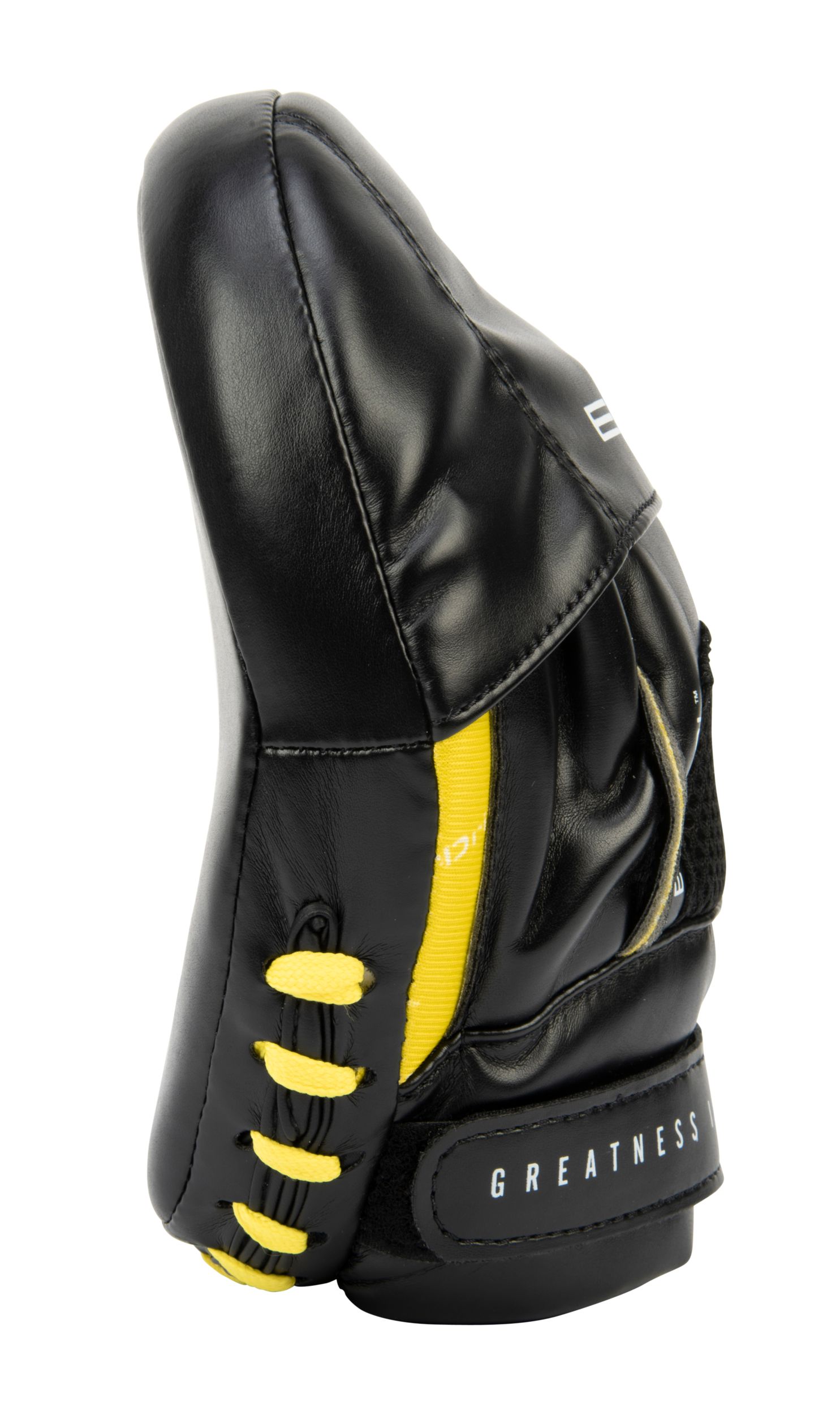Everlast Elite Punch Mitts