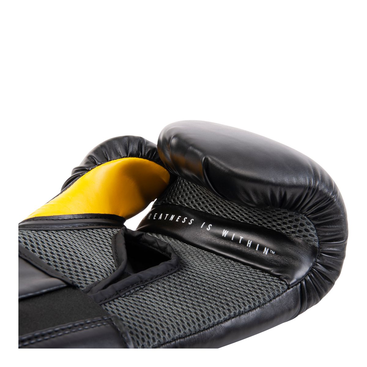 Everlast Pro Style Elite 2.0 Boxing Gloves