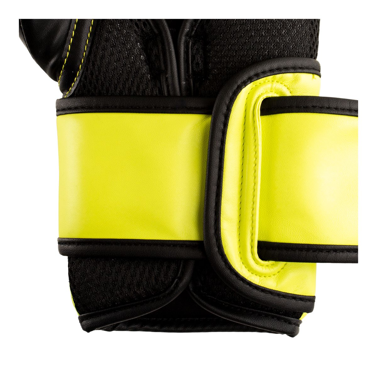 Everlast Powerlock 2 Boxing Gloves