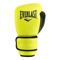 Everlast Powerlock 2 14 oz Training Gloves Back_Flat