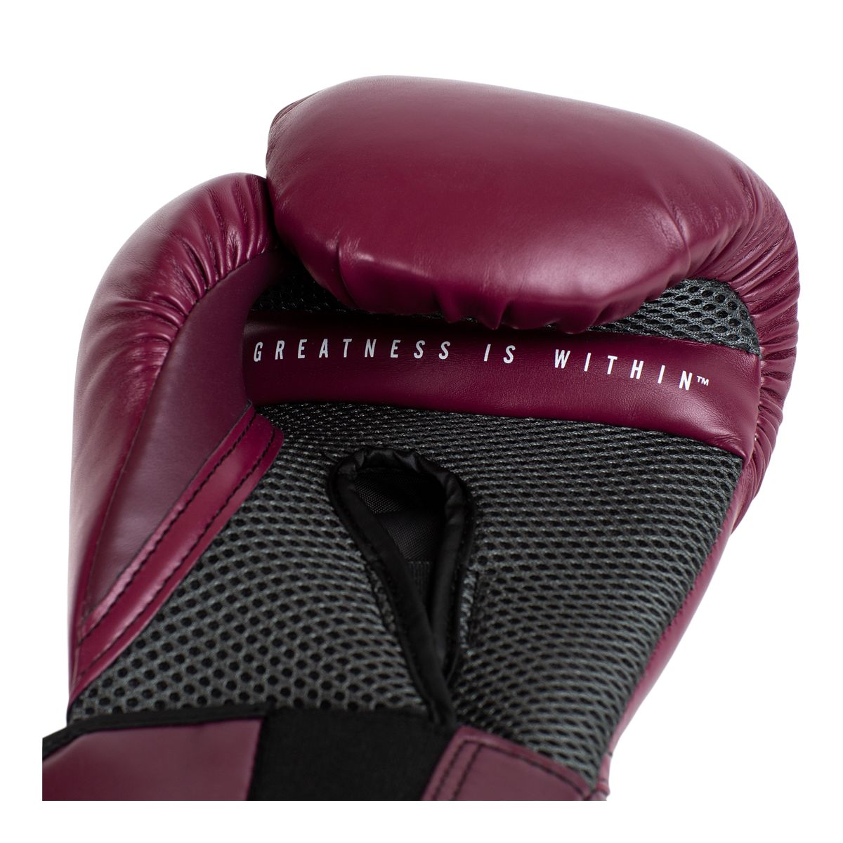 Everlast Pro Style Elite 2.0 Boxing Gloves