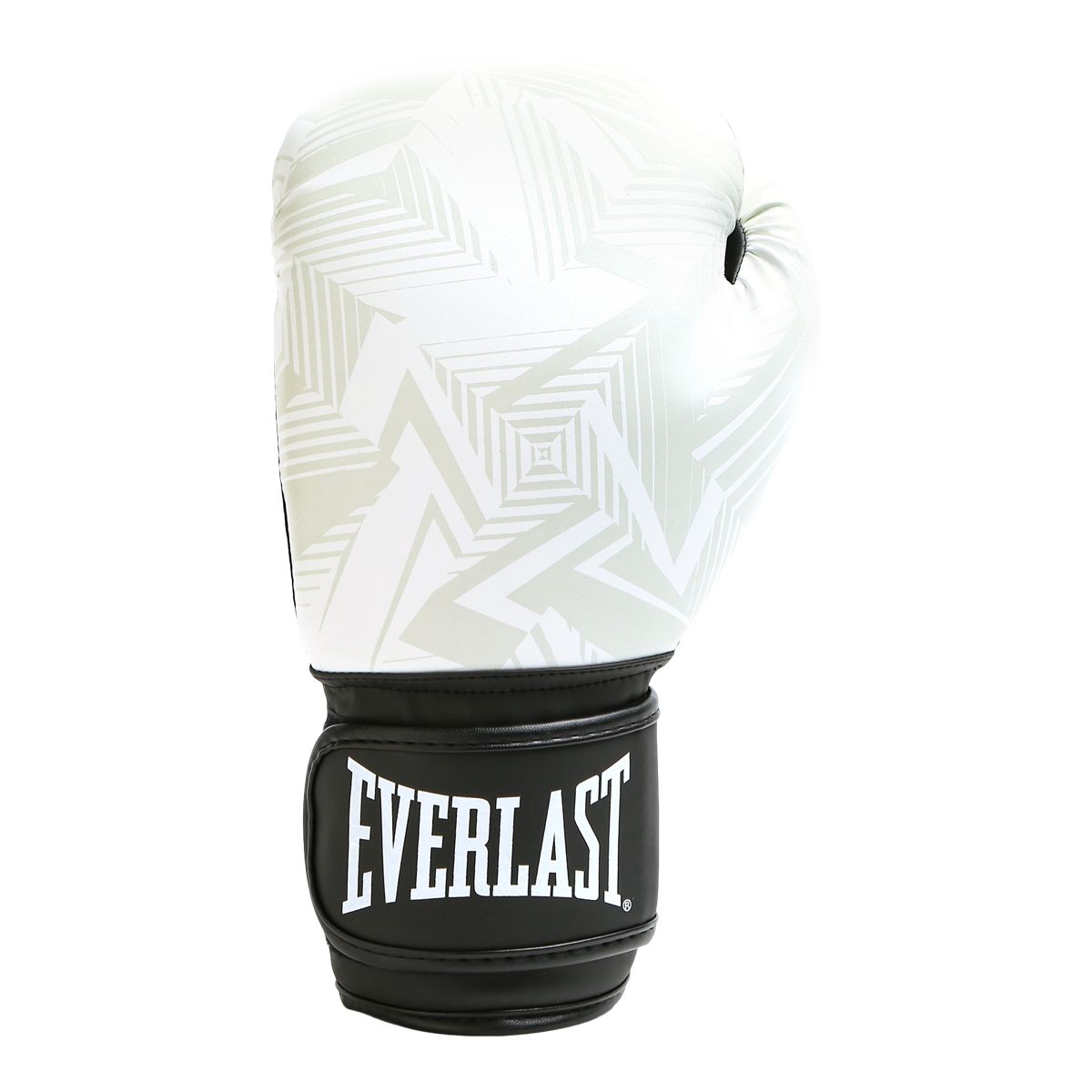 Everlast Spark 14 oz Training Gloves Back_Flat