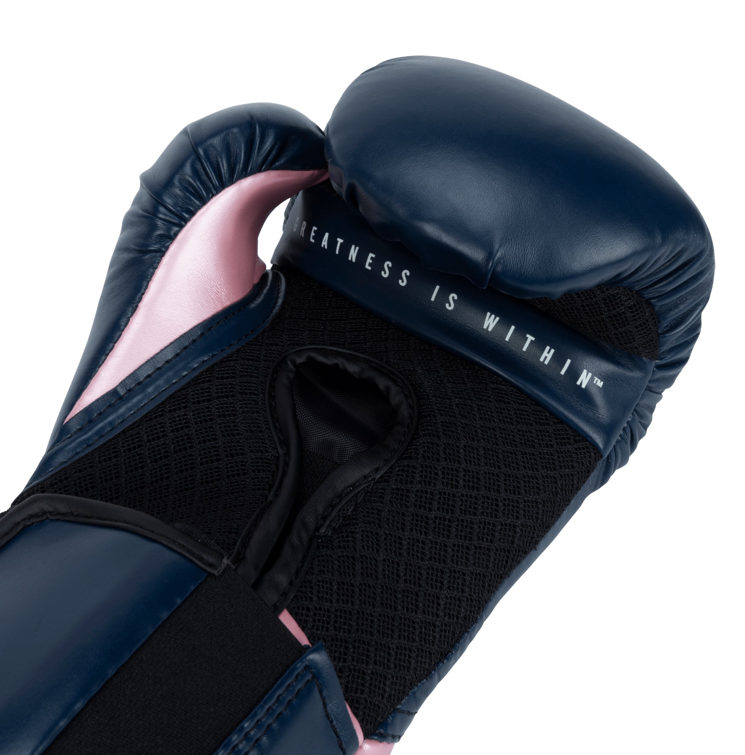 Everlast Pro Style Elite 2.0 Boxing Gloves