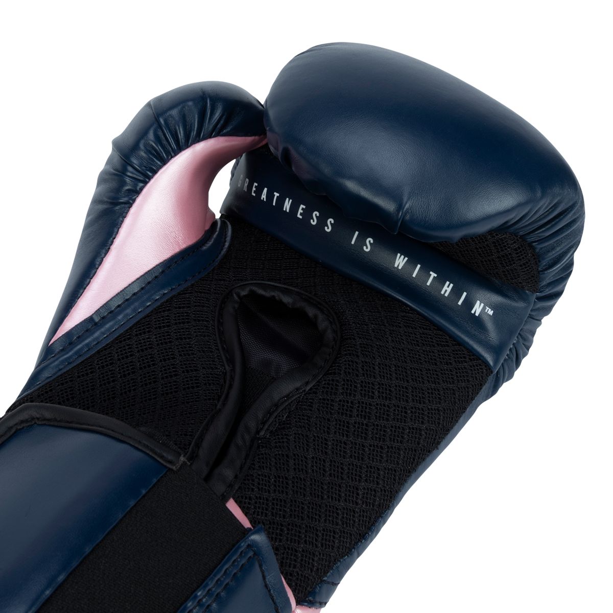 Everlast Pro Style Elite 2.0 Boxing Gloves