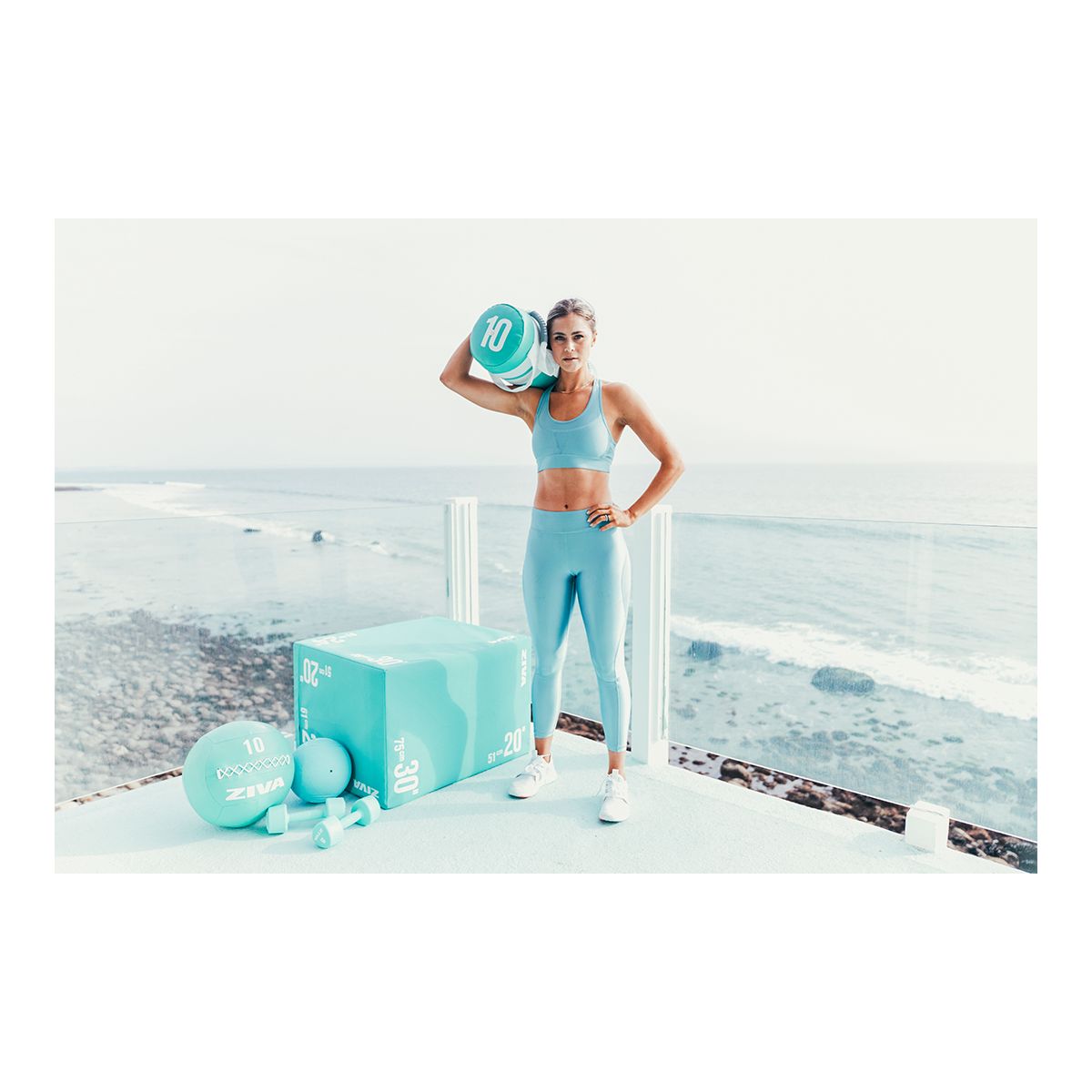 Ziva Chic Power Core 10 lb Bag