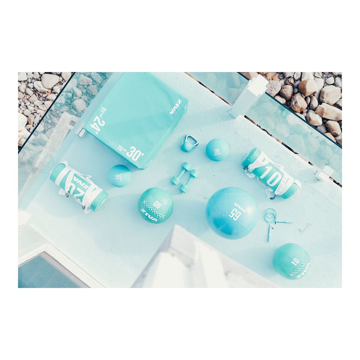 Ziva Chic Power Core 20 lb Bag