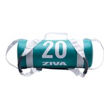 Ziva Chic Power Core 20 lb Bag Front_Flat