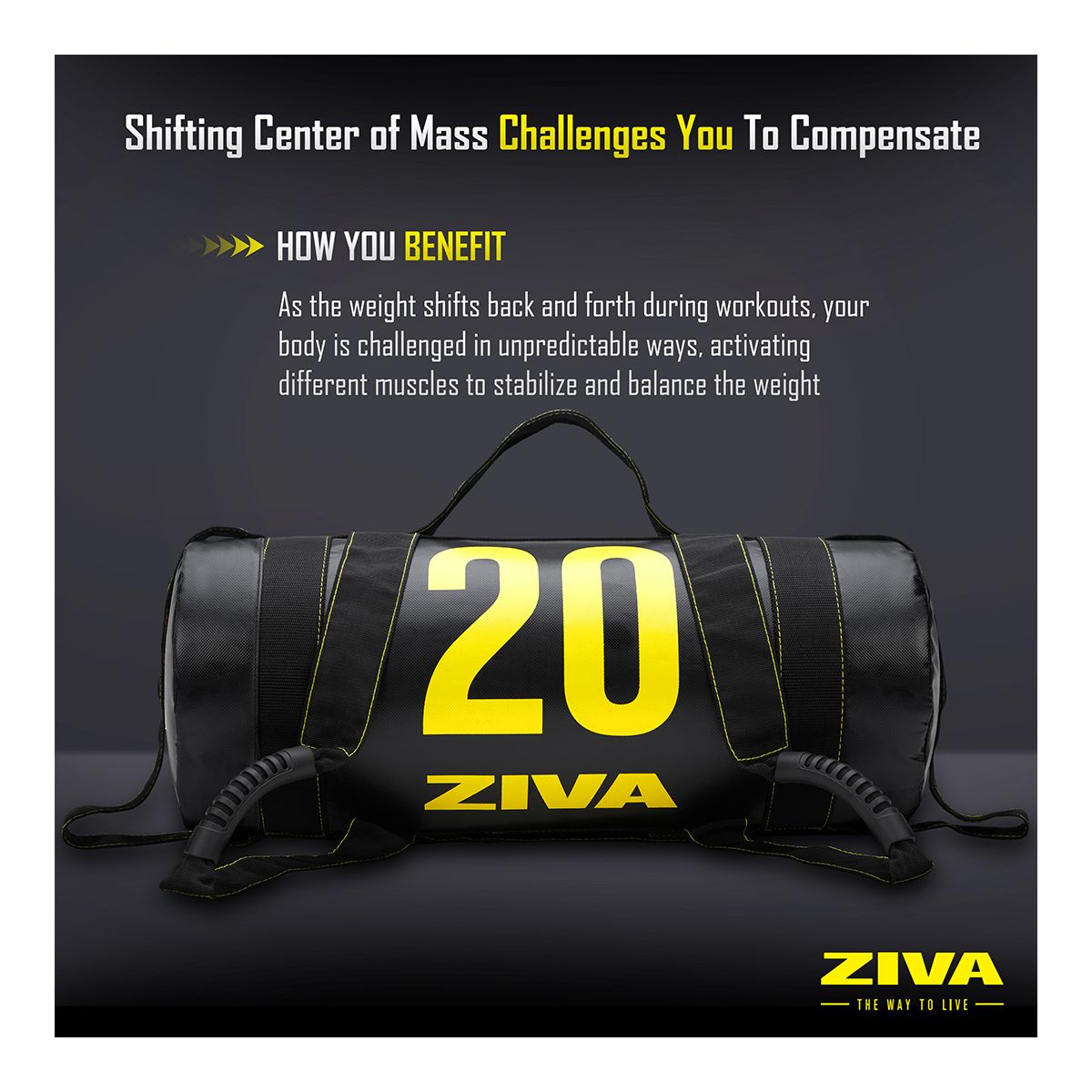 Ziva Power Core 25 lb Bag