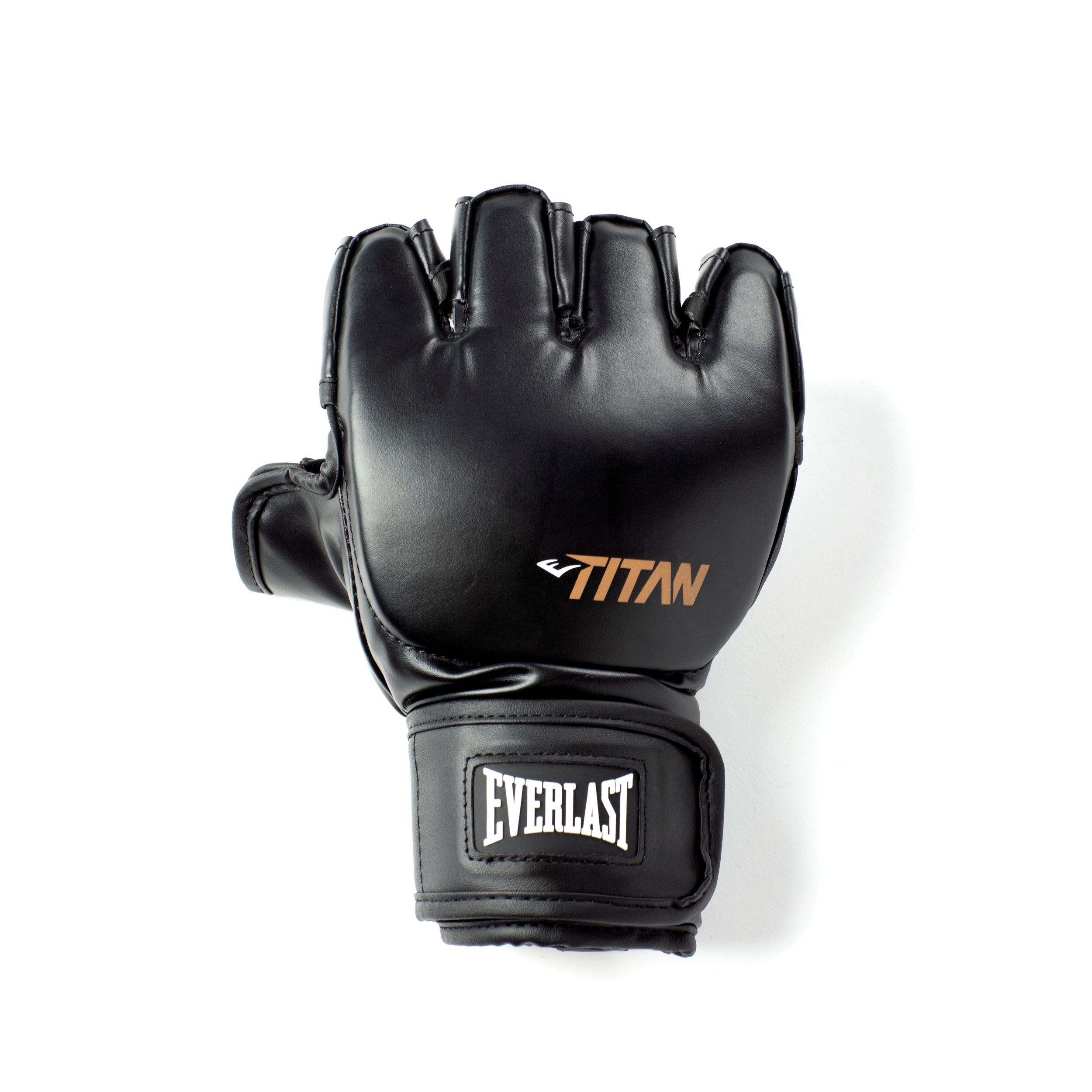 Everlast Titan MMA Gloves