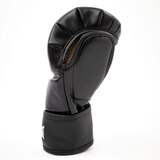 Everlast Titan Hybrid MMA Gloves