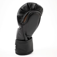 Everlast Titan Hybrid MMA Gloves