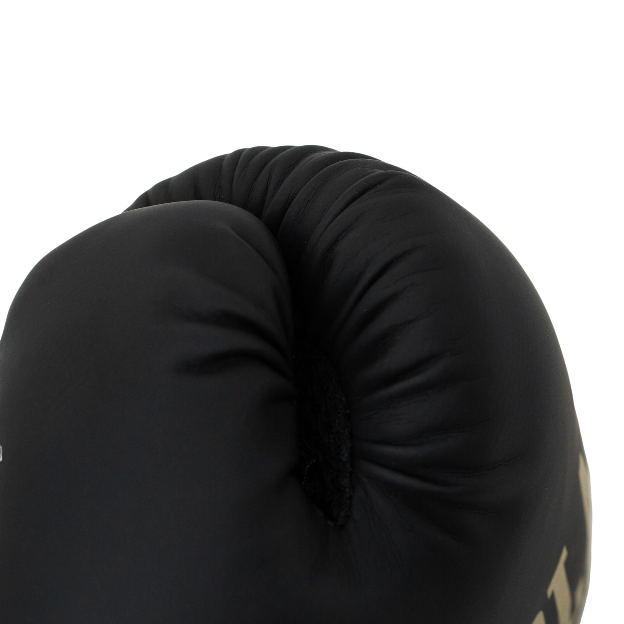 Everlast Elite 2 Boxing Gloves