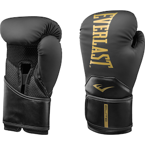 Everlast Elite 2 10 oz Boxing Gloves