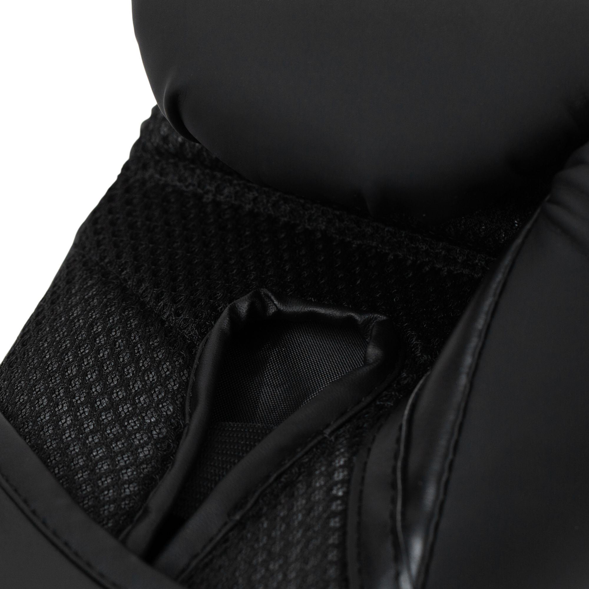 Everlast Elite 2 Boxing Gloves