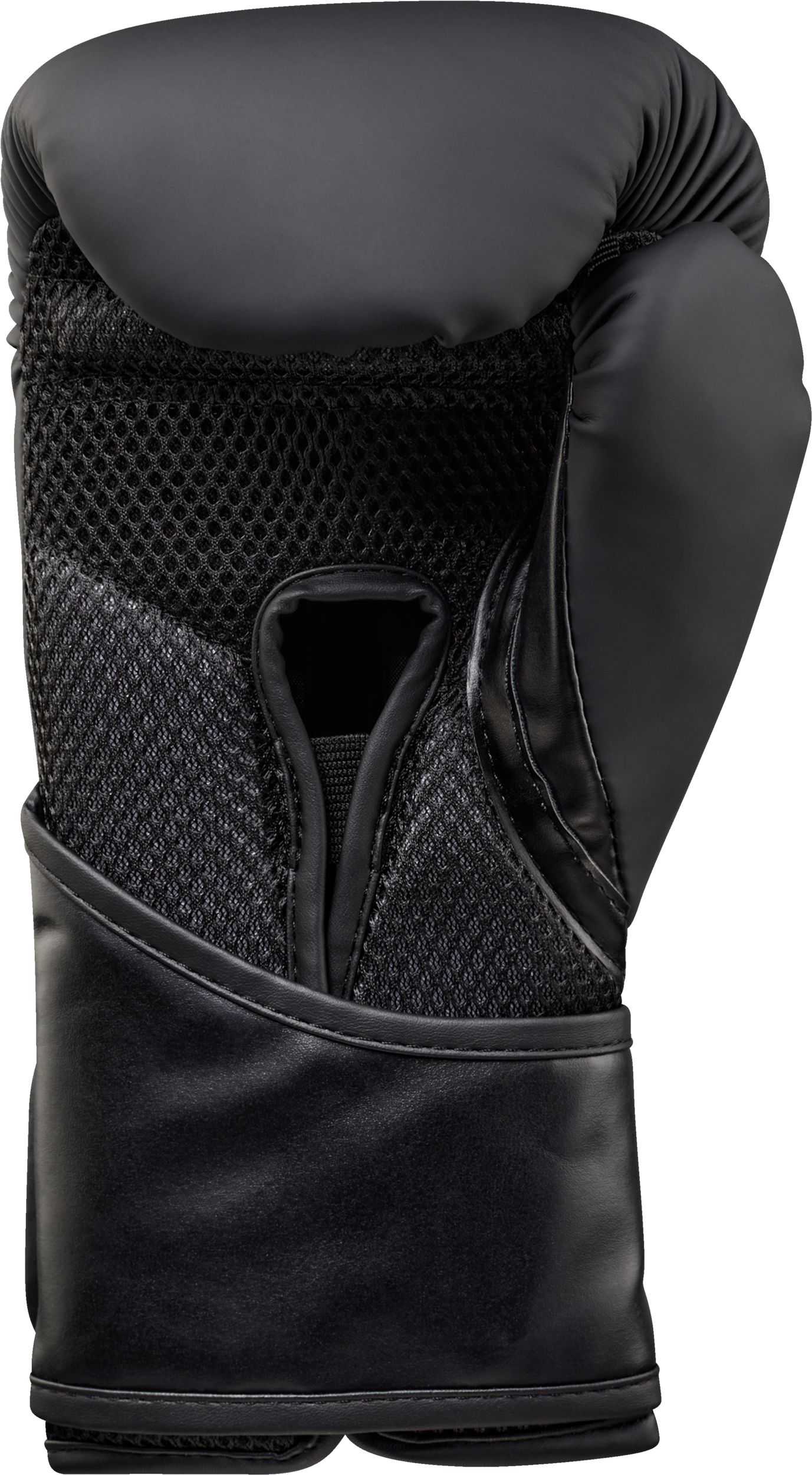 Everlast Elite 2 12 oz Boxing Gloves | SportChek