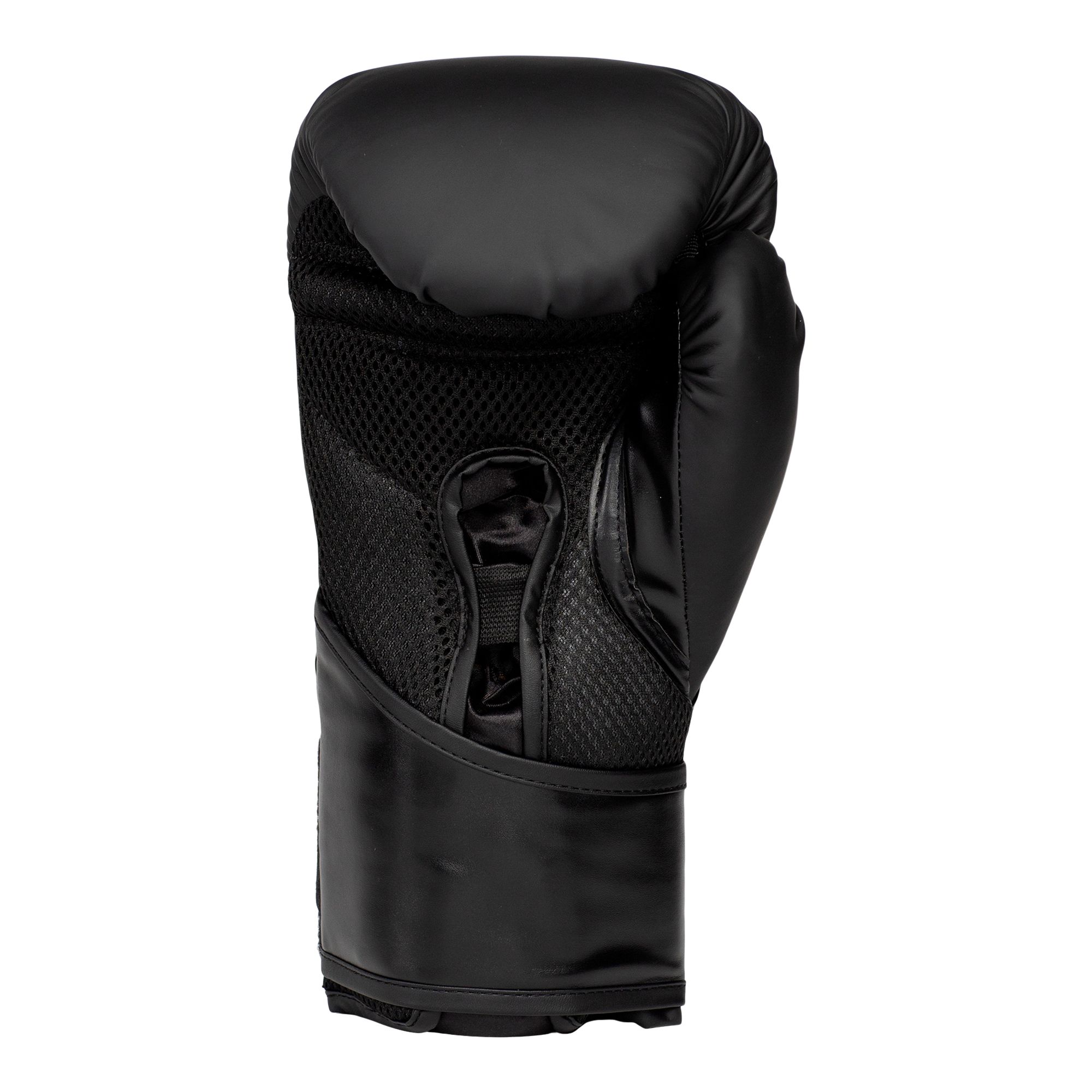 Everlast Elite 2 Boxing Gloves