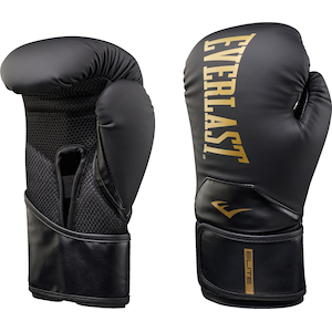 Everlast Elite 2 14 oz Boxing Gloves