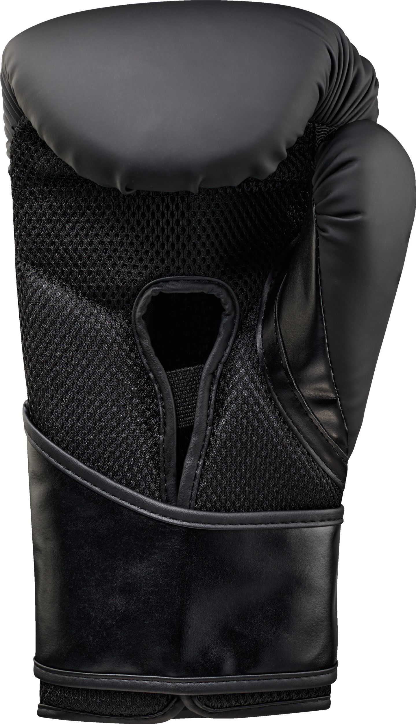 Everlast Elite 2 Boxing Gloves