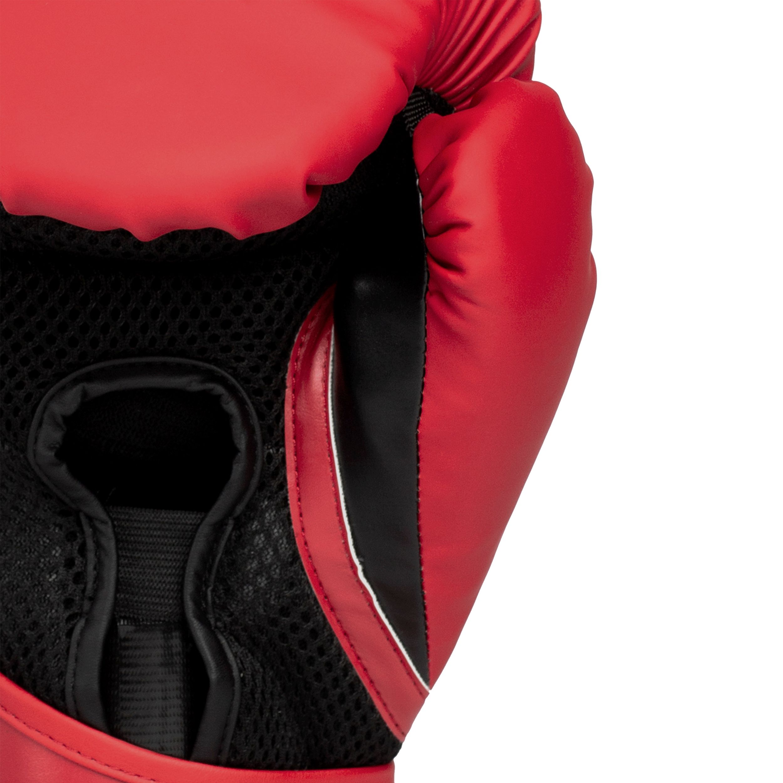 Everlast Elite 2 Boxing Gloves