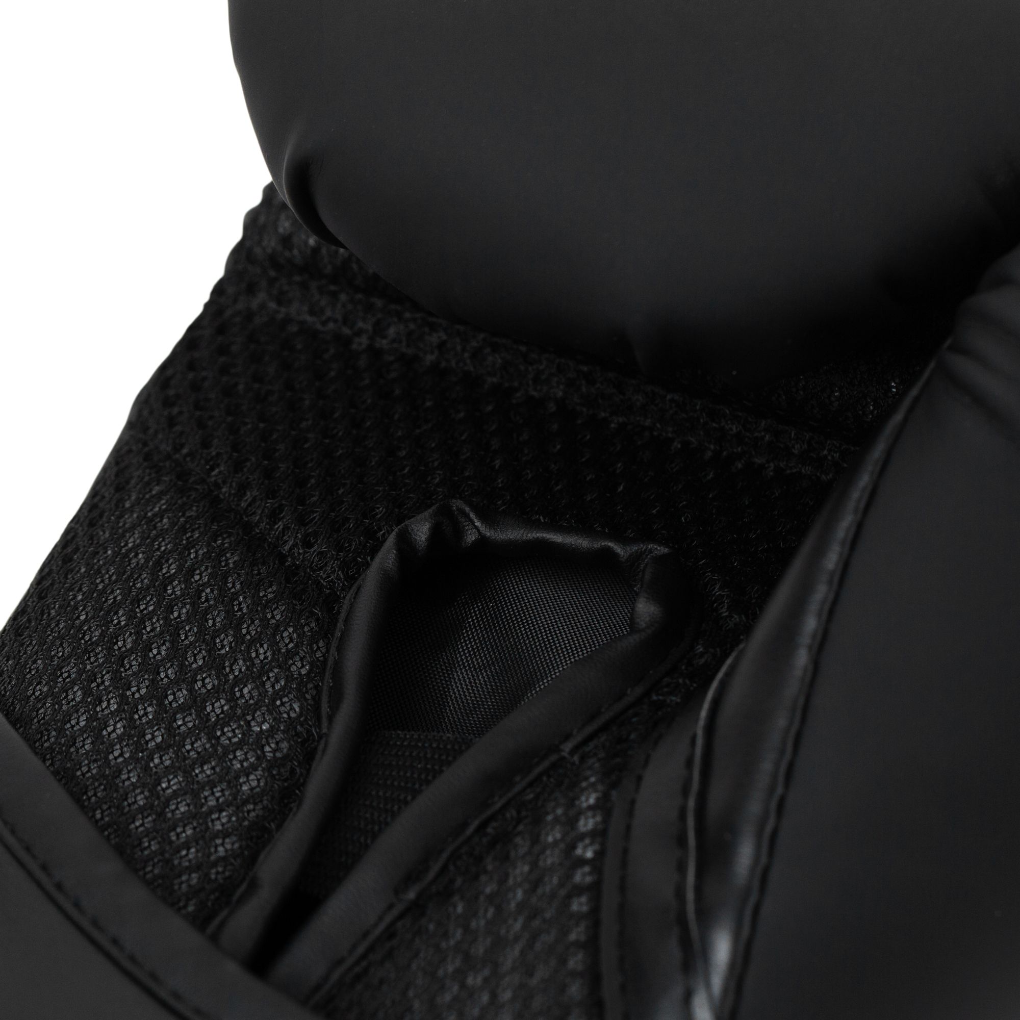 Everlast Elite 2 Boxing Gloves