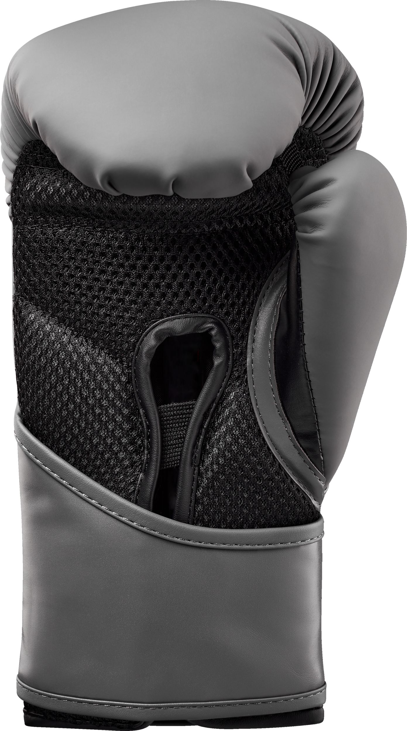 Everlast Elite 2 Boxing Gloves