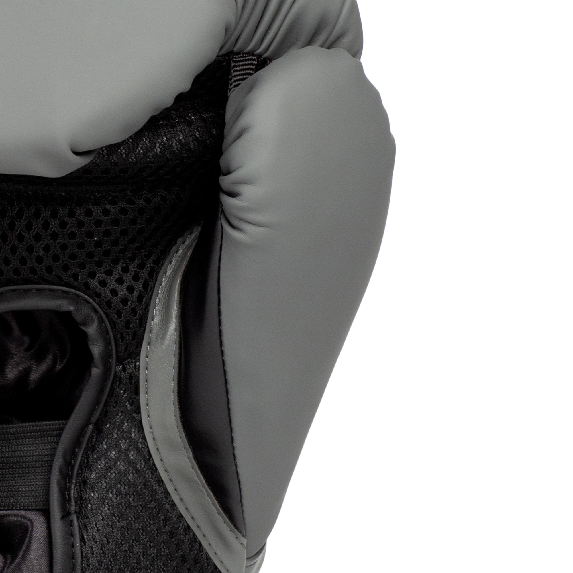 Everlast Elite 2 Boxing Gloves