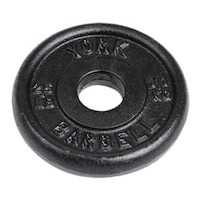 York Barbell Standard Weight Plates, 2.5 lbs Overhead_Plunge
