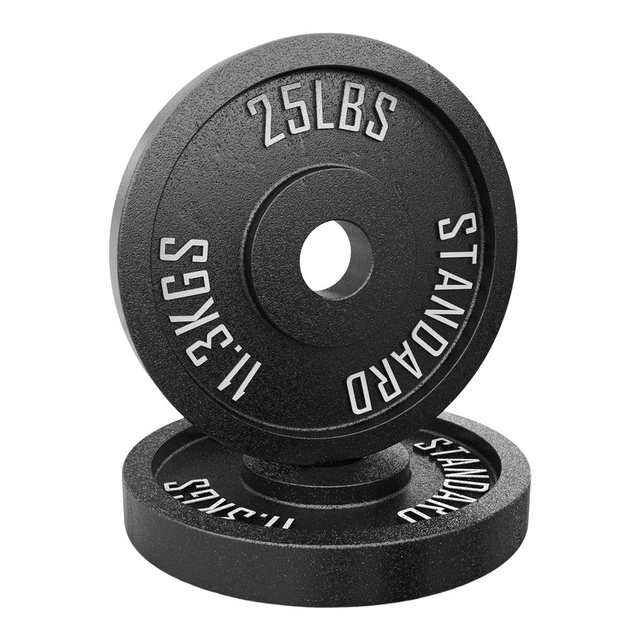 Synergee 25 lb Olympic Cast Iron Plates, Pair, Weight, Home Gym Composite_or_Mixed