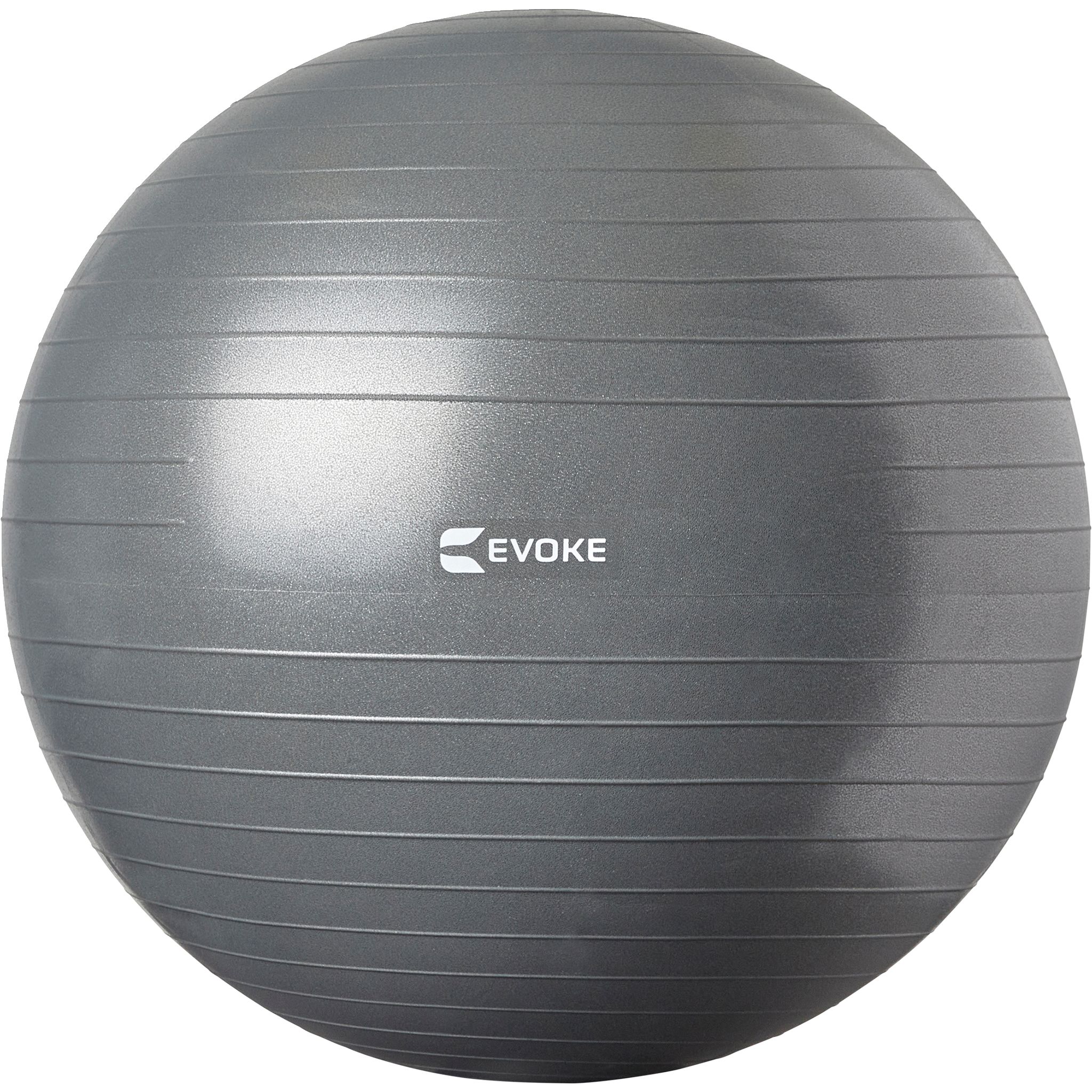 Evoke 65cm Exercise Ball SportChek