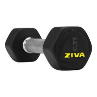 Ziva Performance Hex Dumbbell, Weight, Home Gym Front_Three_Fourths_Angled_Left