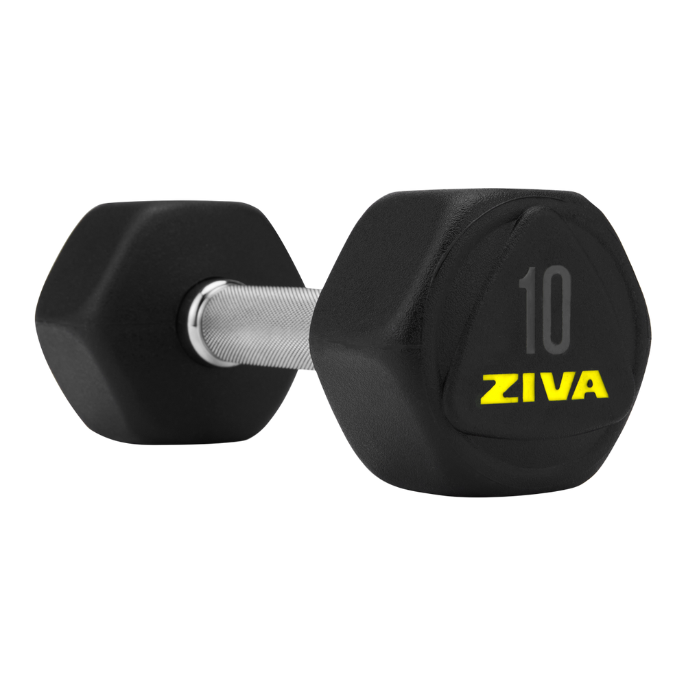 Ziva Performance 10 lb Hex Dumbbell Weight Home Gym SportChek