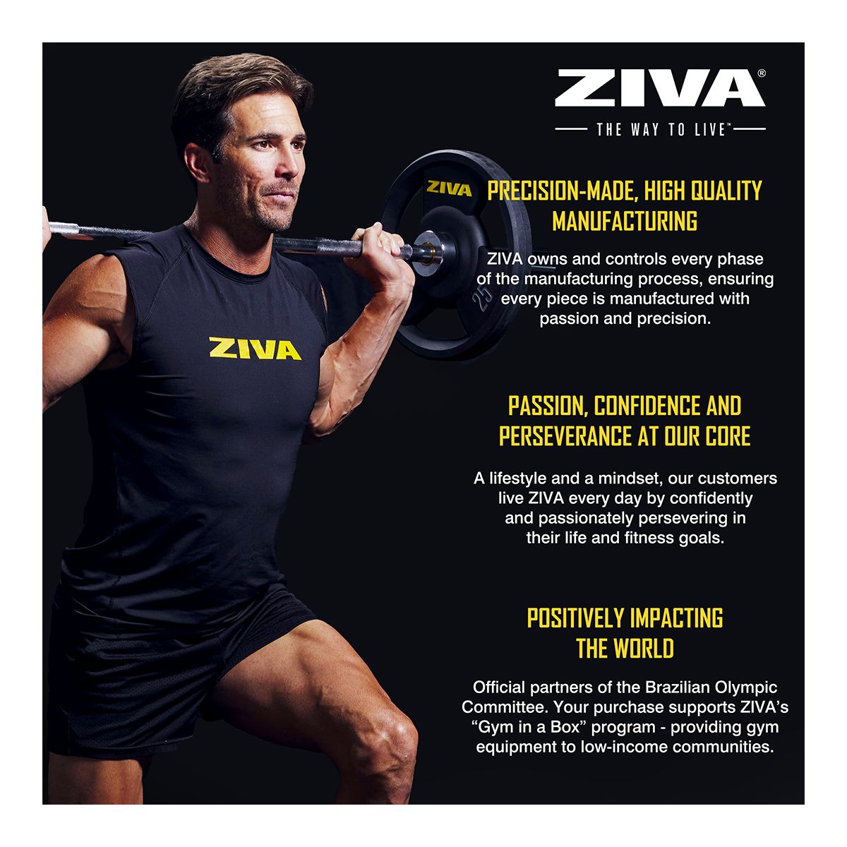 Ziva Performance Rubber Grip Weight Disc, Weight, Home Gym