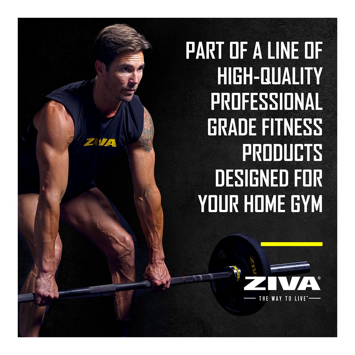 Ziva Performance Rubber Grip Weight Disc, Weight, Home Gym