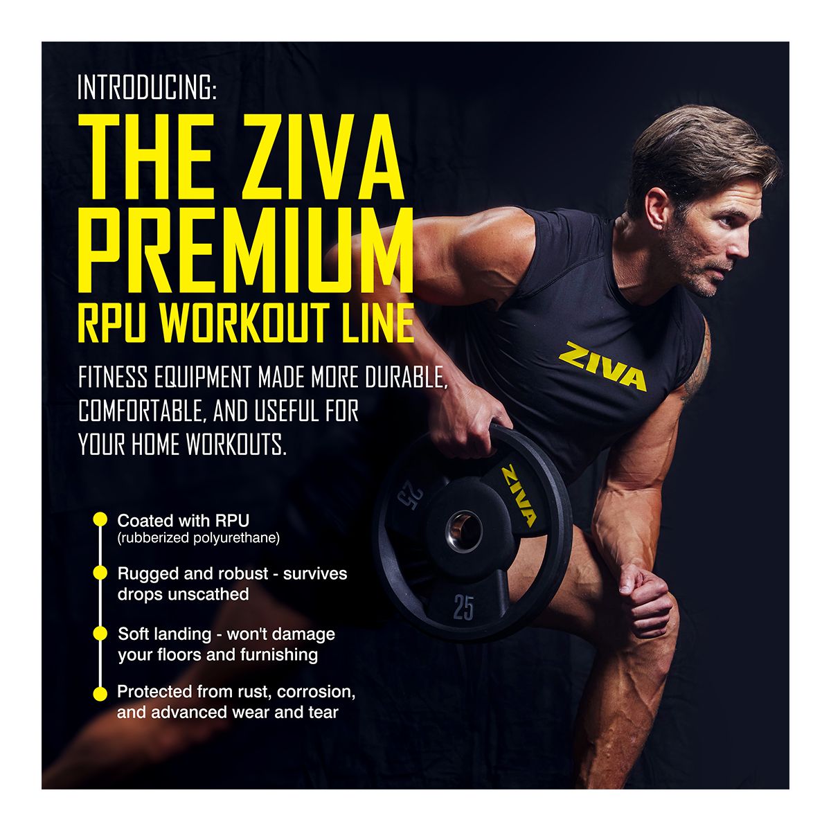 Ziva Performance Rubber Grip Weight Disc, Weight, Home Gym