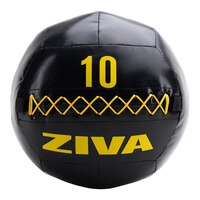 Ziva Performance 10 lb Wall Ball, Weight, Home Gym Front_Flat
