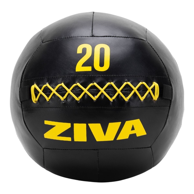 Ziva Performance 20 lb Wall Ball, Weight, Home Gym