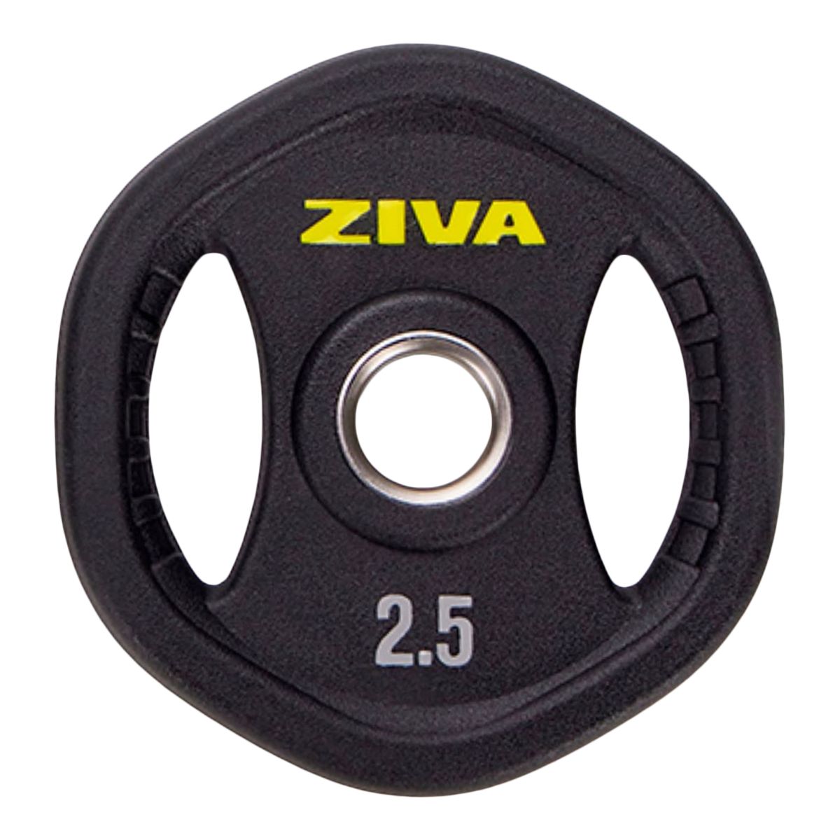 Ziva Performance Plate, Weight, Home Gym
