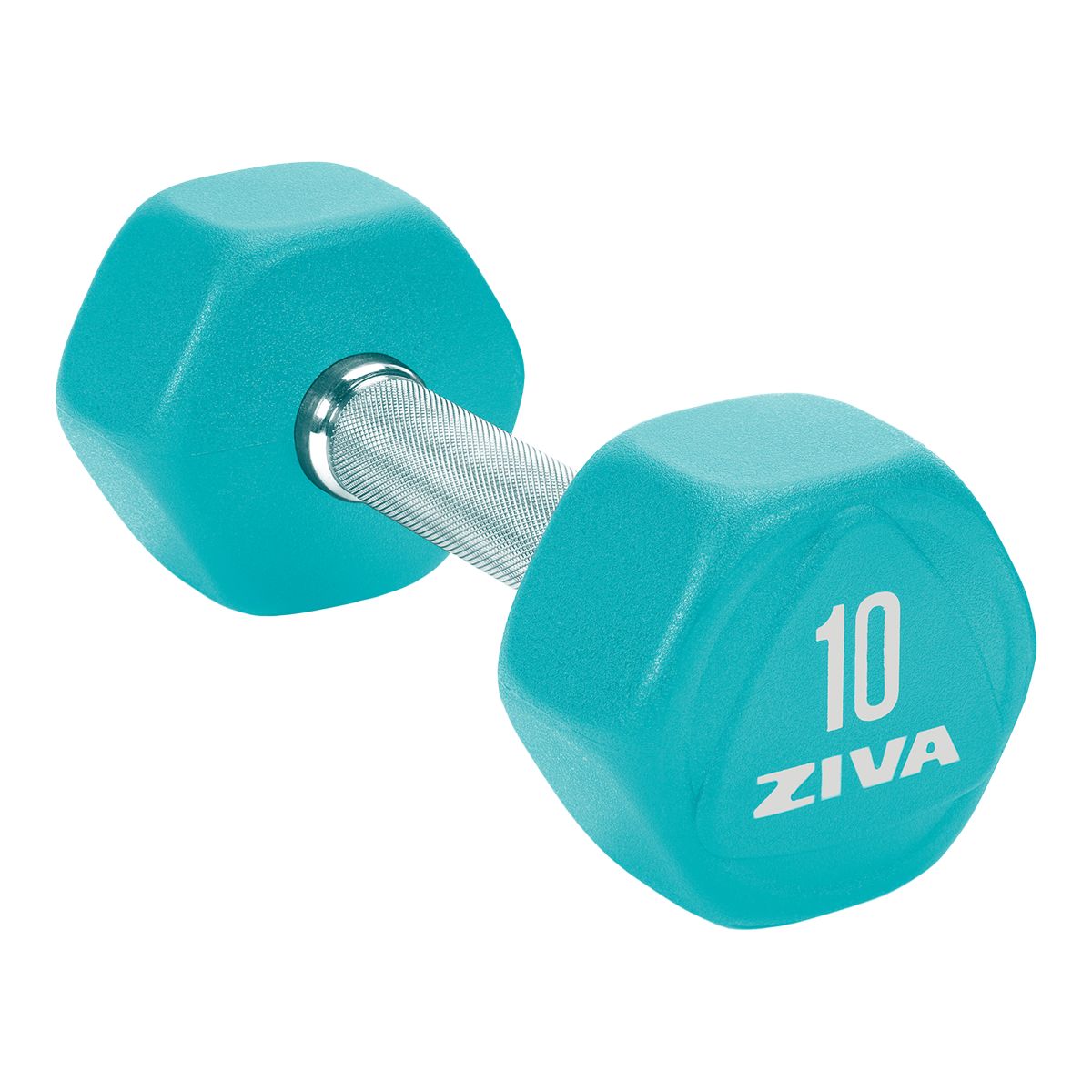 Ziva Chic lb Hex Dumbbell Weight Home Gym