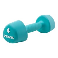 Ziva Chic 4 lb Tribell Dumbbell, Weight, Home Gym Front_Three_Fourths_Angled_Right