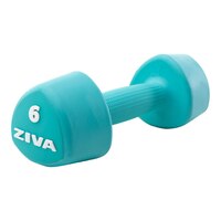 Ziva Chic 6 lb Tribell Dumbbell, Weight, Home Gym Front_Three_Fourths_Angled_Right