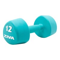 Ziva Chic 12 lb Tribell Dumbbell, Weight, Home Gym Front_Three_Fourths_Angled_Right