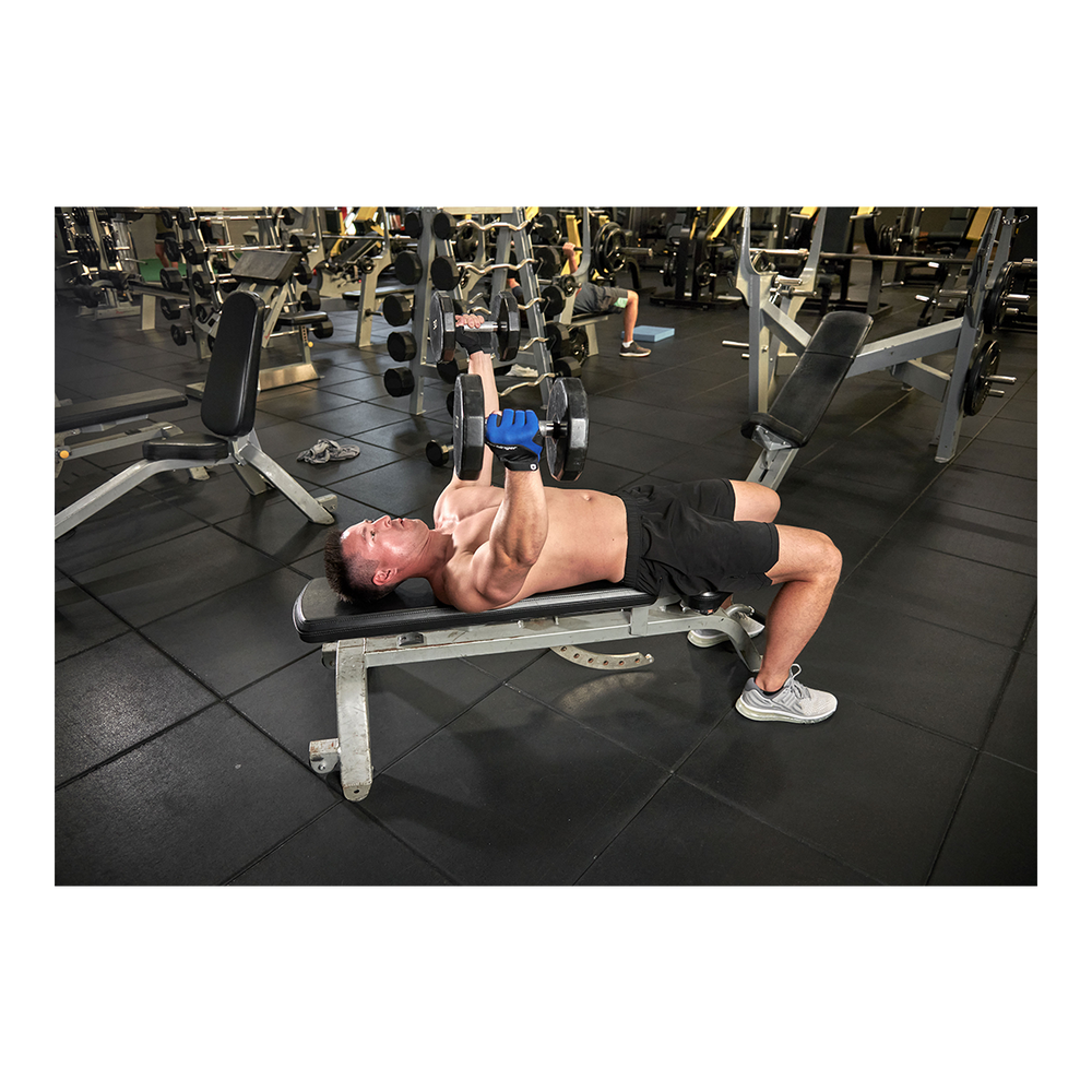 Sport chek bench discount press