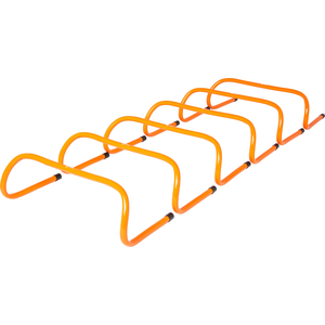 Evoke Speed Hurdles